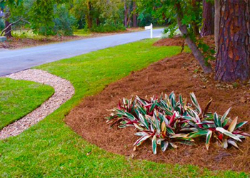 Residential Services